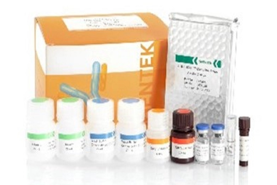 Host Cell Protein HCP ELISA Analysis Method Introduction