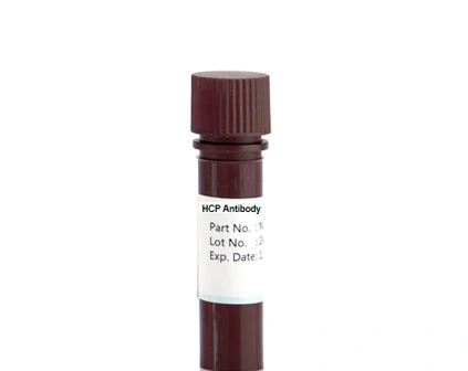 Anti-MDCK HCP Antibody