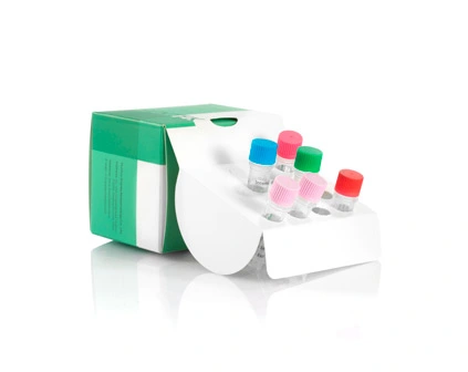 Fungi & Bacteria DNA Extraction Kit