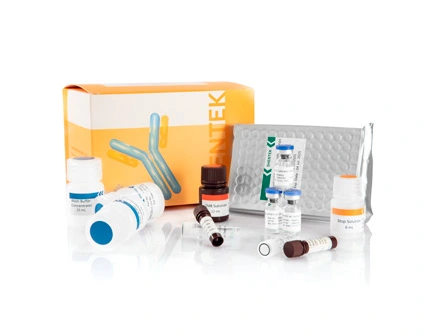 Human IL-6 ELISA Kit