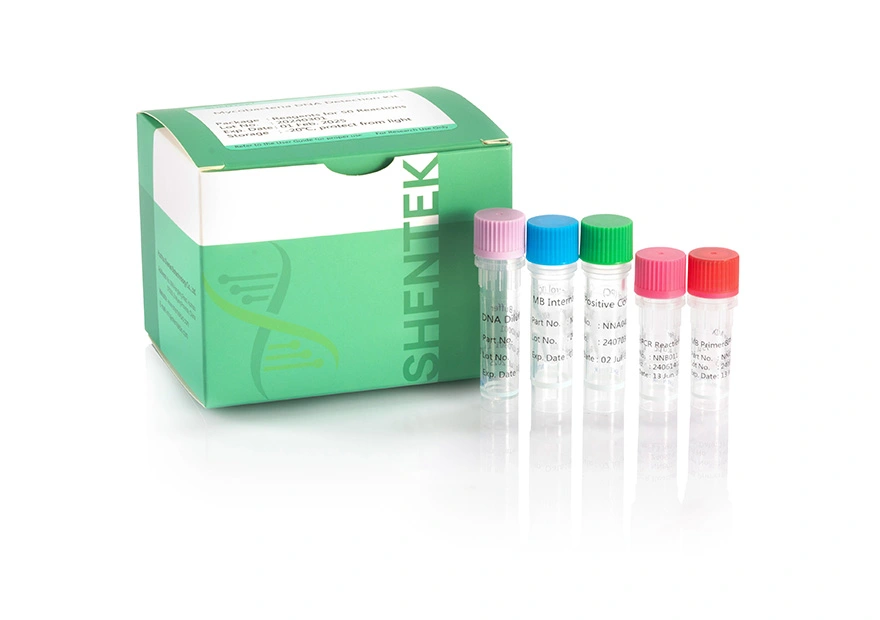 Mycobacteria DNA Detection Kit