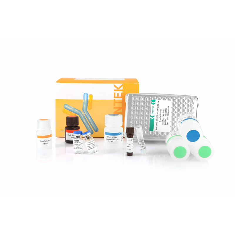 CHO K1 HCP ELISA Kit (One-step ELISA)