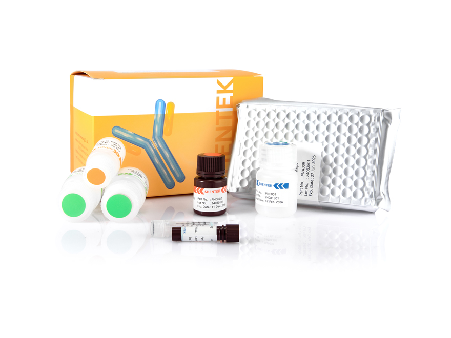 CHO PLBL-2 HCP ELISA Kit