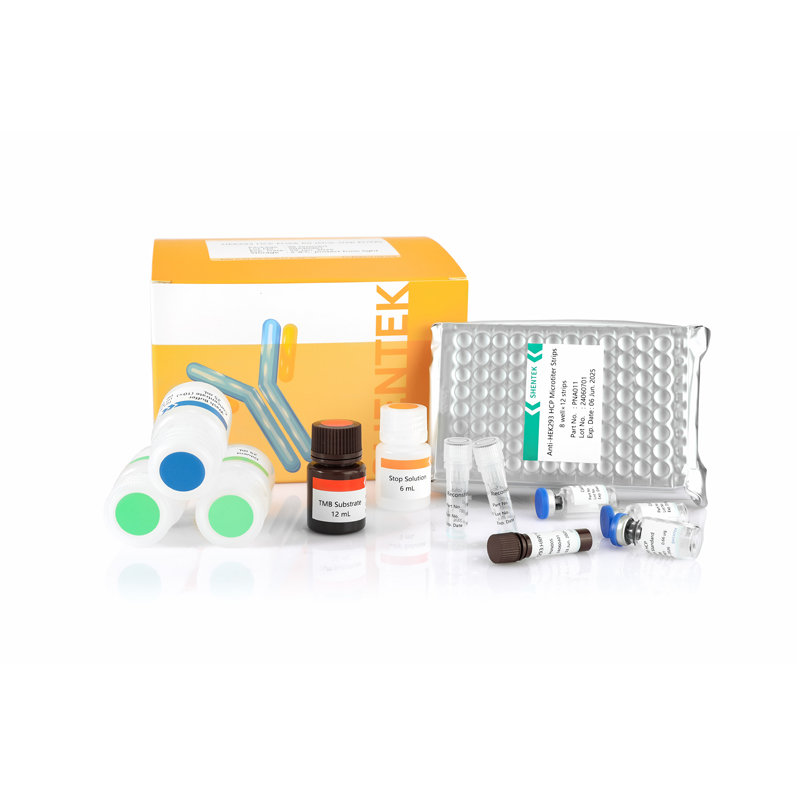 HEK293 HCP ELISA Kit (One-step ELISA)