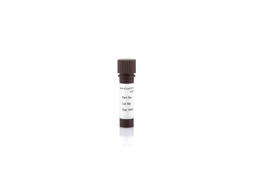 Anti-E.coli (Protein Expression Strains) HCP Antibody