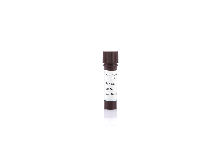 Anti-E.coli (K-12 & Alkaline Lysis) HCP Antibody