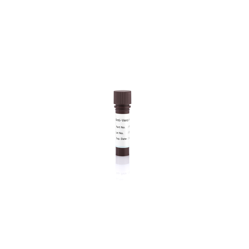 Anti-Vero HCP Antibody