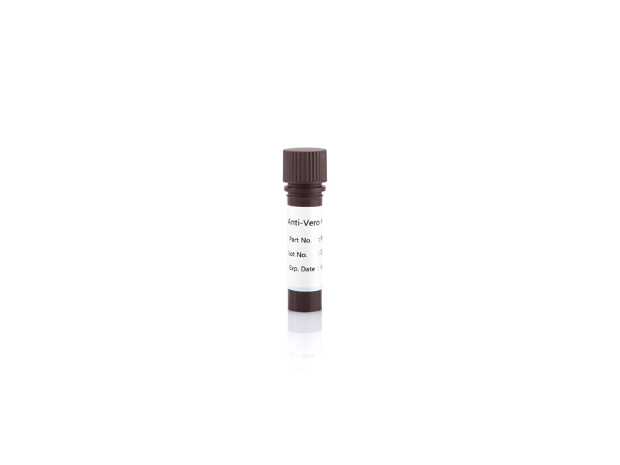 Anti-Vero HCP Antibody