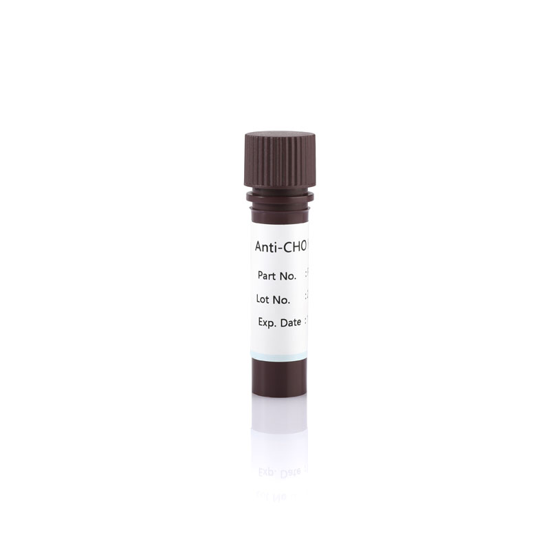 Anti-CHO HCP Antibody