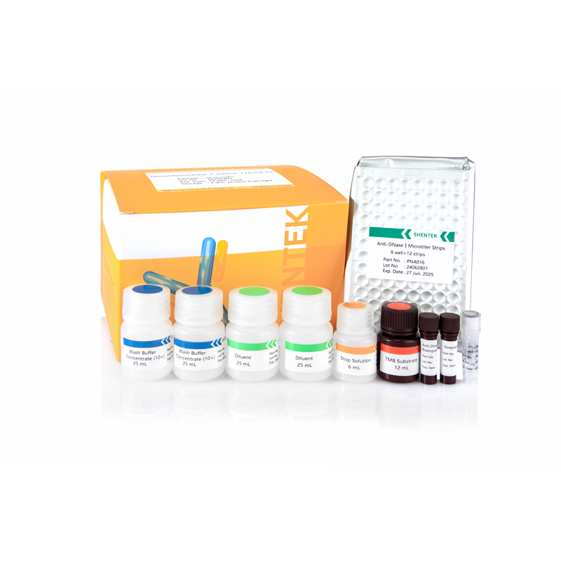 Deoxyribonuclease I (DNase) ELISA Kit