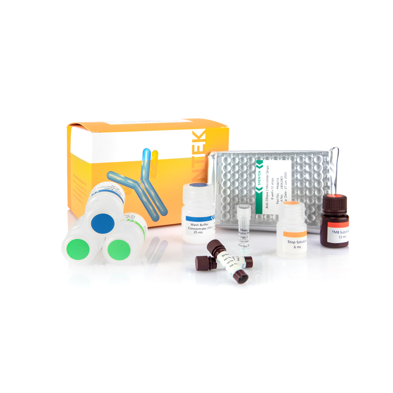Deoxyribonuclease I (DNase) ELISA Kit