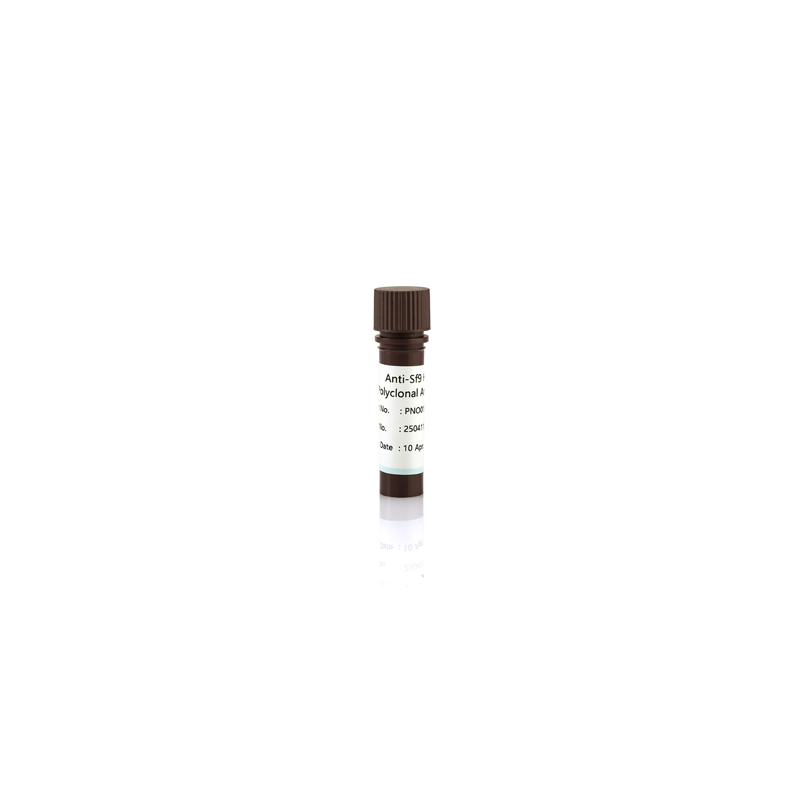 Anti-Sf9 HCP Antibody