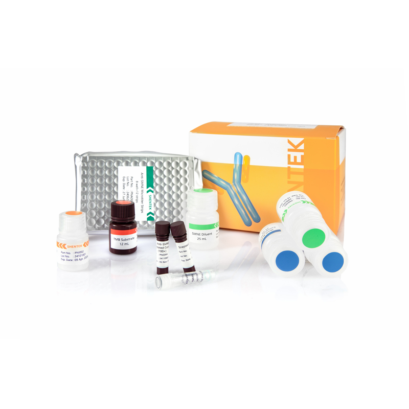 Nonspecific Endonuclease (SMNE) ELISA Kit