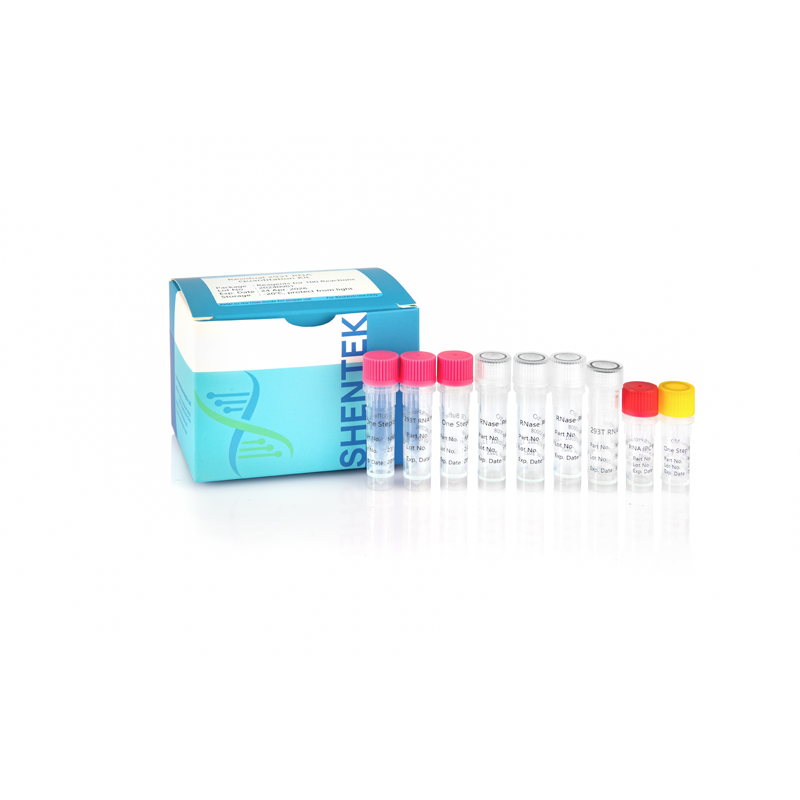 Residual 293T RNA Quantitation Kit
