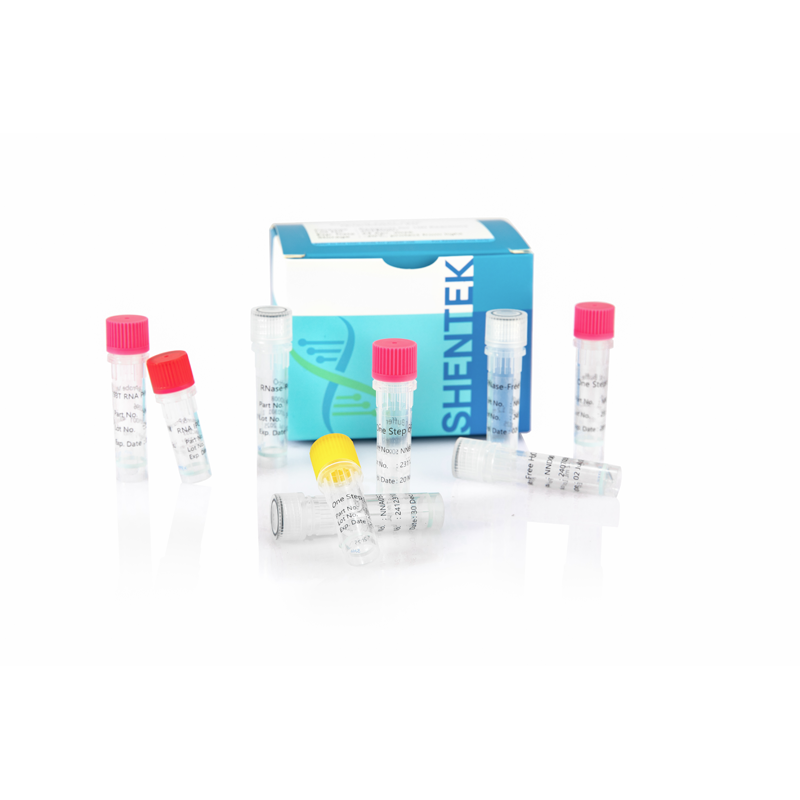 Residual 293T RNA Quantitation Kit