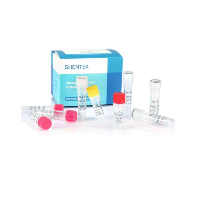 Residual 293T RNA Quantitation Kit