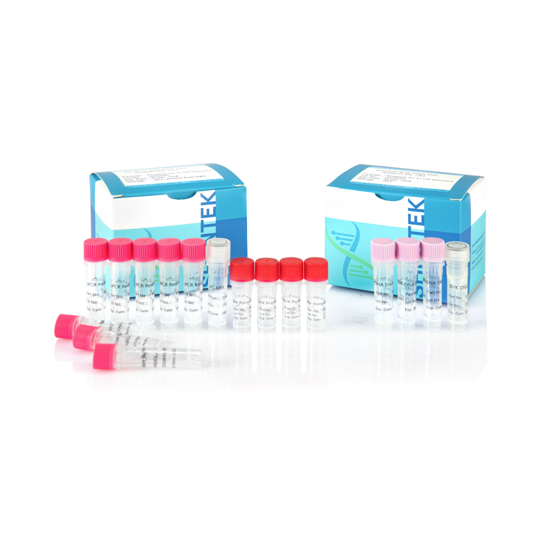 Residual BHK DNA Size Analysis Kit