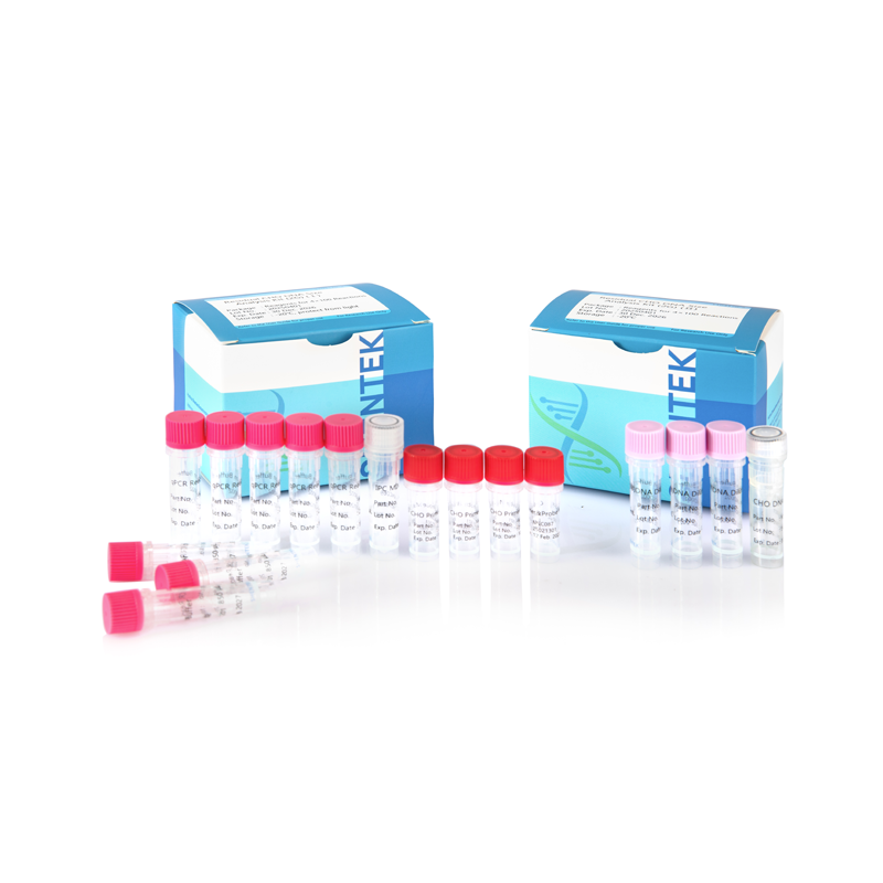 Residual CHO DNA Size Analysis Kit (2G)