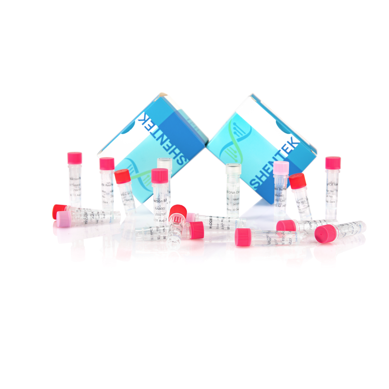Residual CHO DNA Size Analysis Kit (2G)