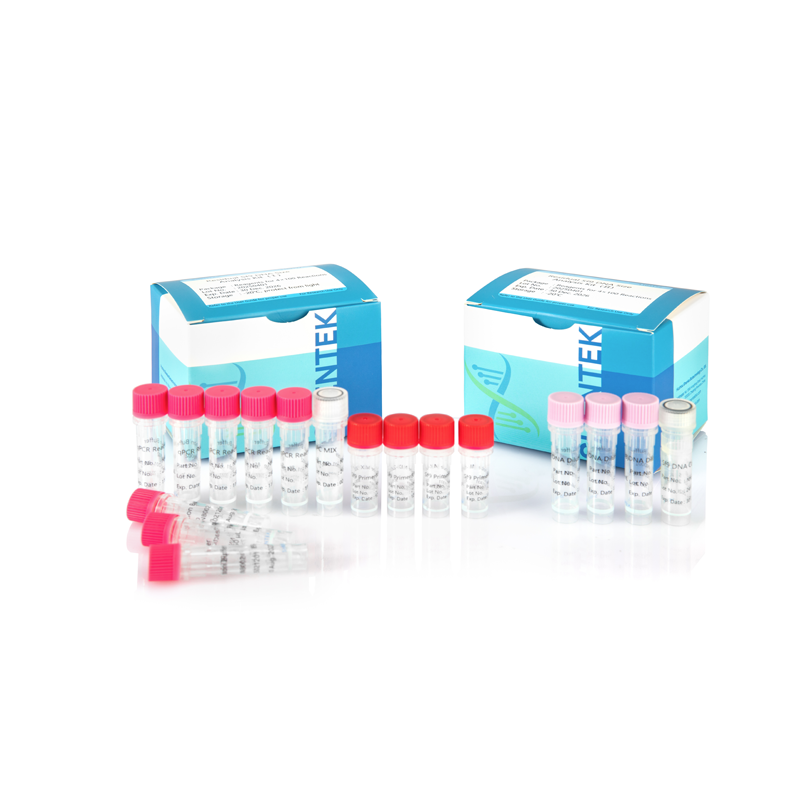 Residual Sf9 Residual DNA Size Analysis Kit