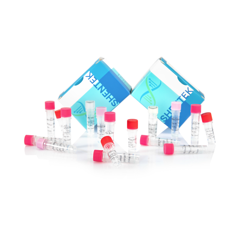 Residual Sf9 Residual DNA Size Analysis Kit