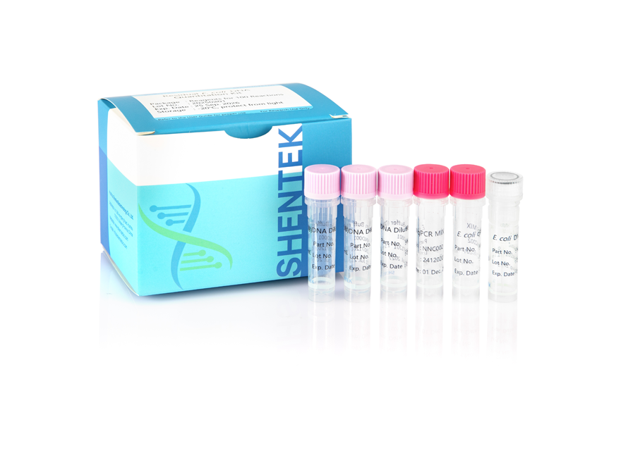 Residual E. coli DNA Quantitation Kit