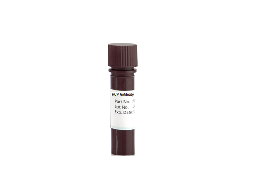 Anti-P.pastoris HCP Antibody