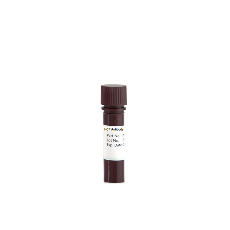 Anti-CHO K1 HCP Antibody