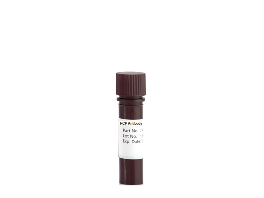 Anti-CHO K1 HCP Antibody