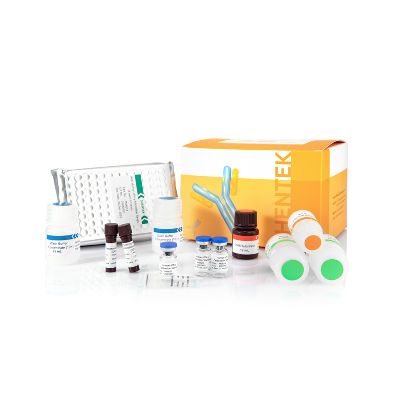 Human IFN-γ ELISA Kit