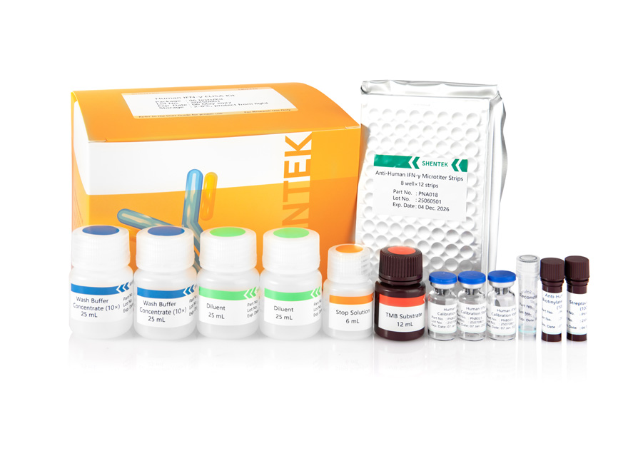 Human IFN-γ ELISA Kit