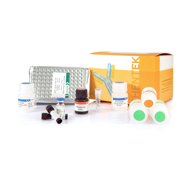 Human IL-6 ELISA Kit