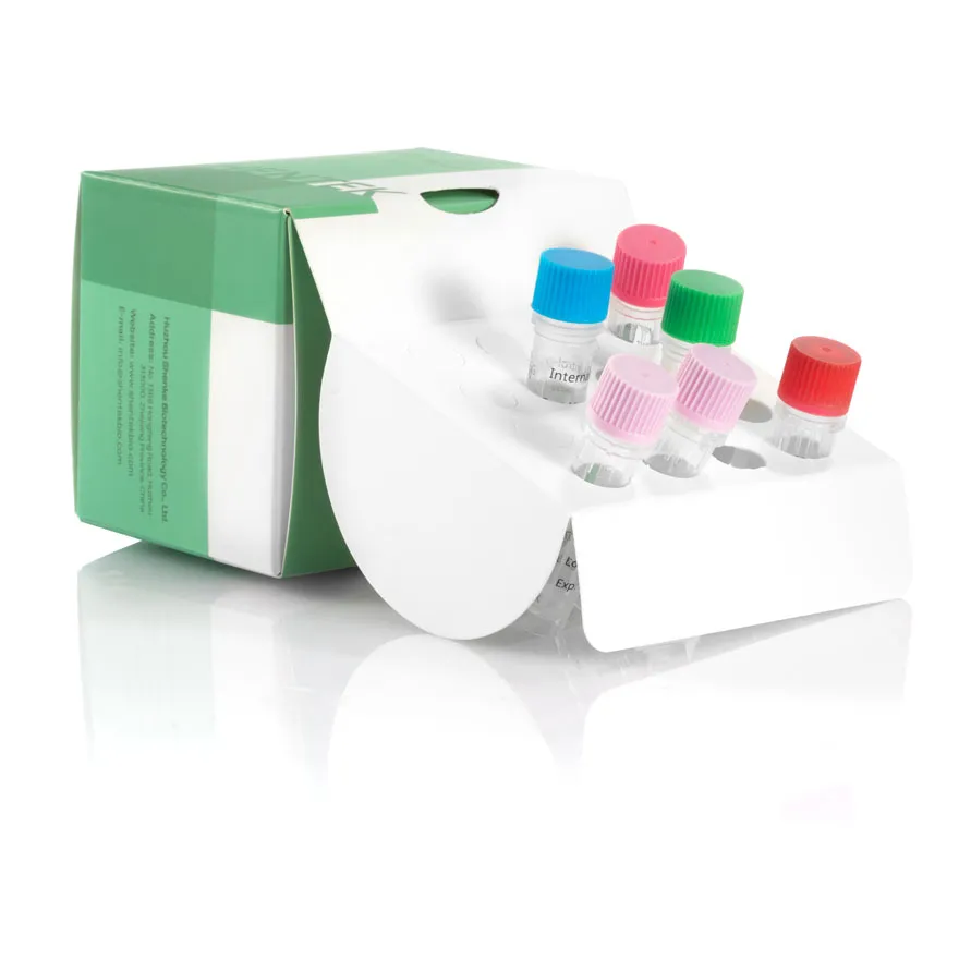 pcv 1 plasmid dna standard 1