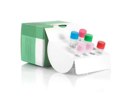 PCV-1 Plasmid DNA Standard