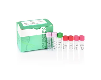 Bacteria DNA Detection Kit