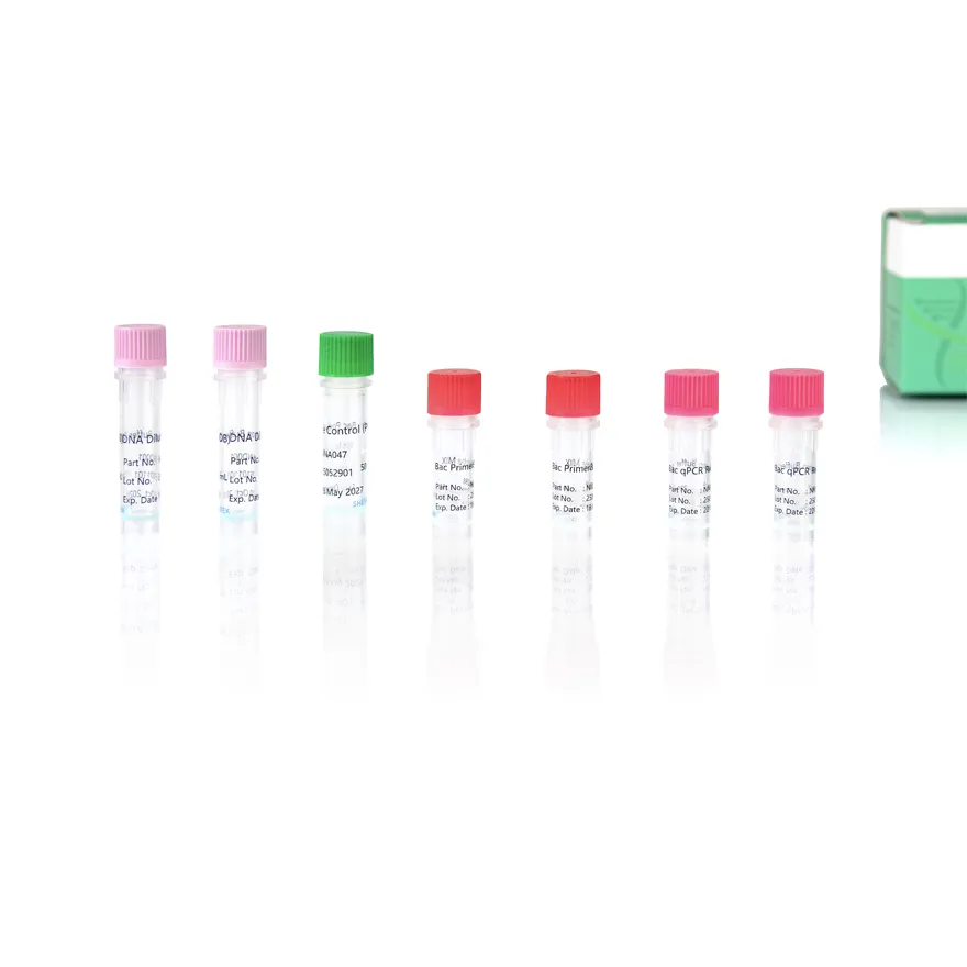 mycoplasma qpcr kit