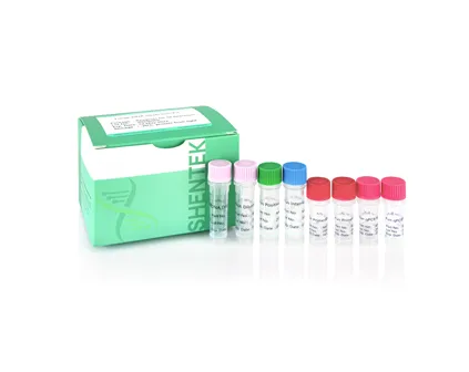 Fungi DNA Detection Kit