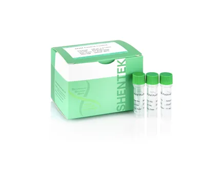 MVM Positive Control