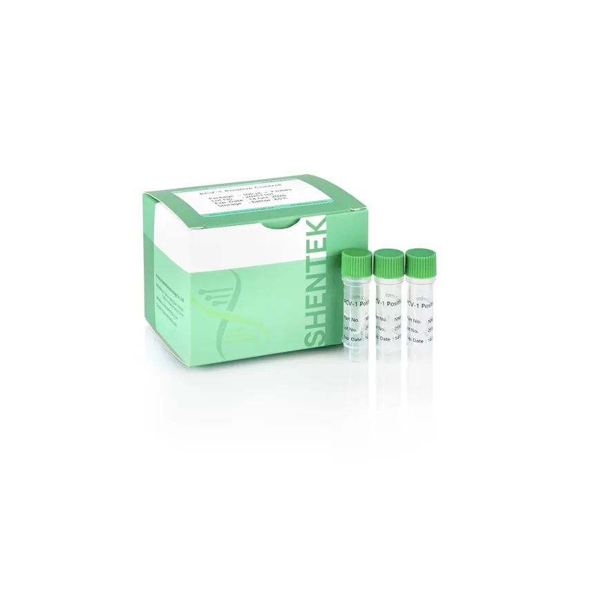 PCV-1 Positive Control