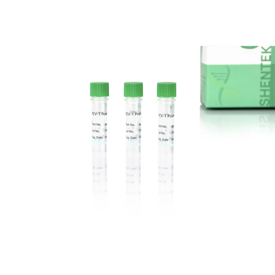 PCV-1 Positive Control