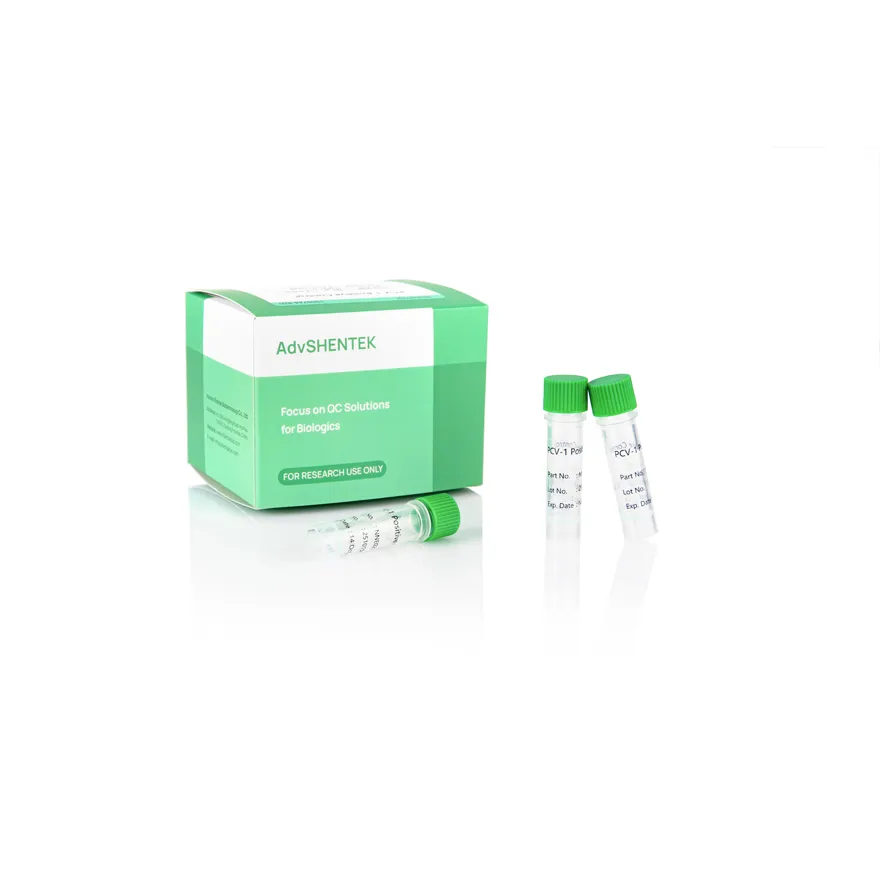 PCV-1 Positive Control