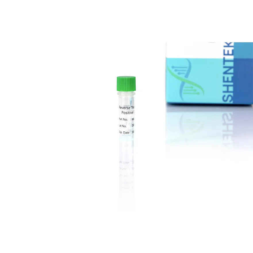 Reverse Transcriptase Positive Control