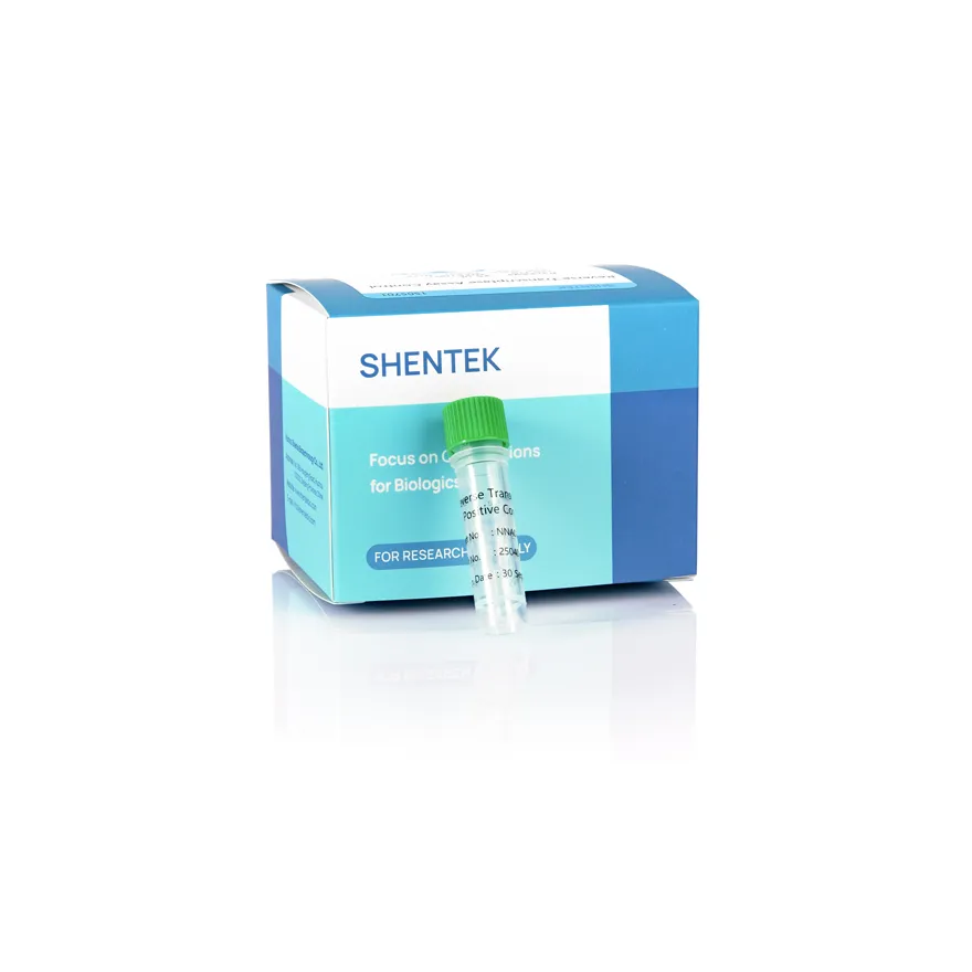 Reverse Transcriptase Positive Control