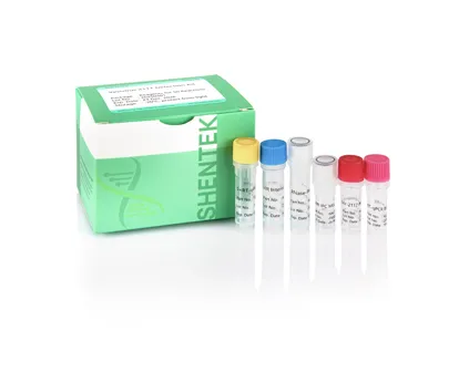 Vesivirus 2117 Detection Kit