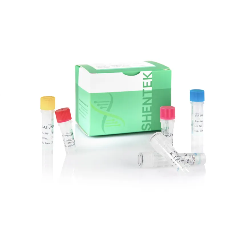 Vesivirus 2117 Detection Kit