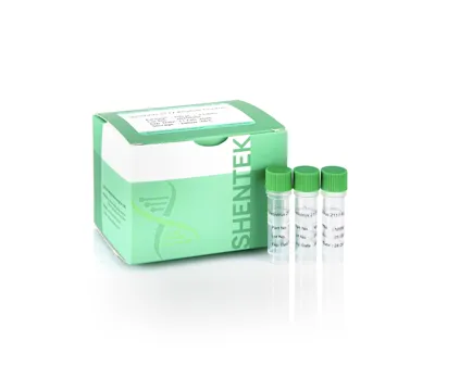 Vesivirus 2117 Positive Control