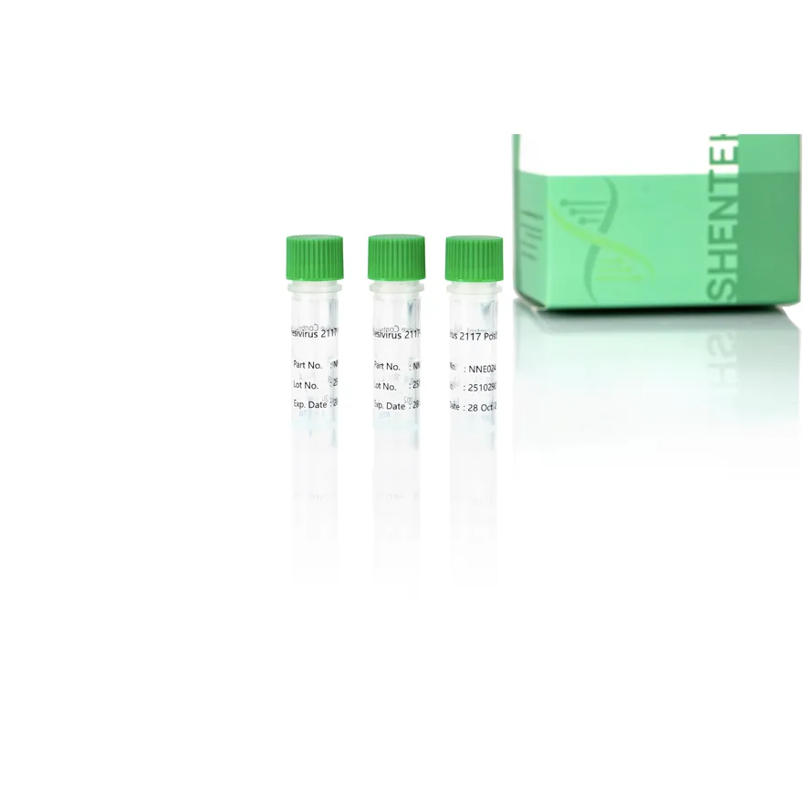 Vesivirus 2117 Positive Control