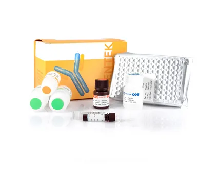 Lentivirus Titer p24 ELISA Kit (One-step ELISA)