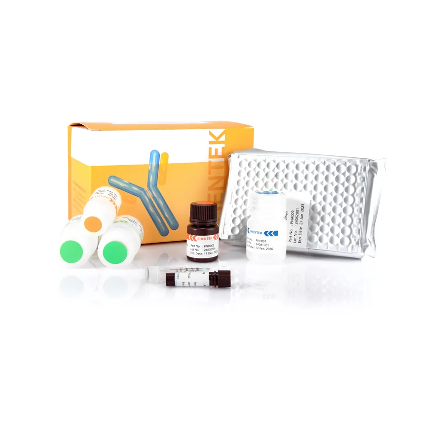 Lentivirus Titer p24 ELISA Kit (One-step ELISA)